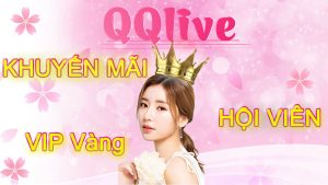 dang-ky-qqlive-android-khuyen-mai-84578678