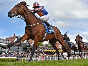 mẹo chơi đua ngựa