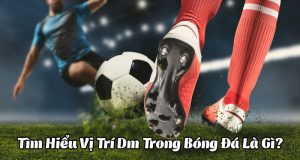 vị trí dm trong bóng đá