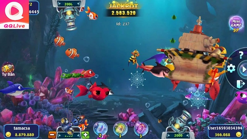 Bắn Cá Vua Hải Tặc QQLive: 5 Bí Kíp Săn Cá Từ Các Xạ Ngư Thủ 4 Bí kíp bắn cá Vua Hải Tặc