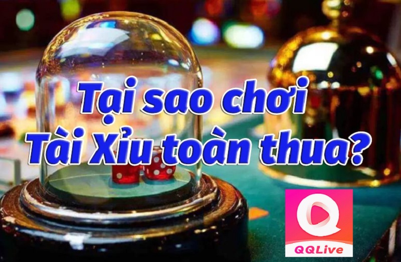 Lý do thua khi chơi tài xỉu QQLive