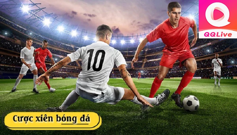 cược xiên bóng đá qqlive