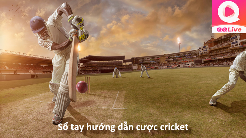 Đặt Cược Cricket App QQlive Là Gì? Cách Chơi Cricket 2024 Đầy Đủ và Chi Tiết Nhất 2 trận đấu bóng chày