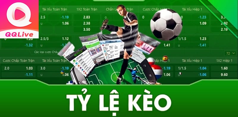 Đọc tỷ lệ kèo trên app QQ Live