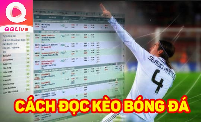 Cách đọc tỷ lệ kèo trên QQ Live APK