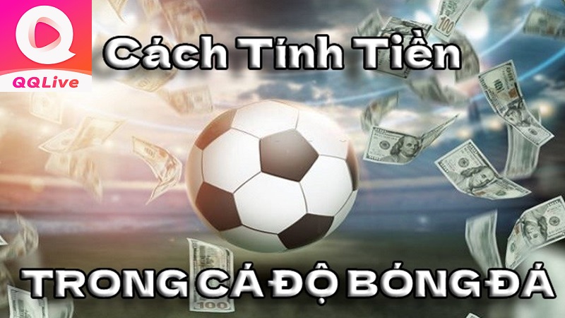 App QQlive Mách Nhỏ Cách Tính Tiền và 4 Mẹo Đọc Tỷ Lệ Kèo Bóng Cho Tân Thủ 3 Tính tiền cược tỷ lệ kèo trên app QQ Live