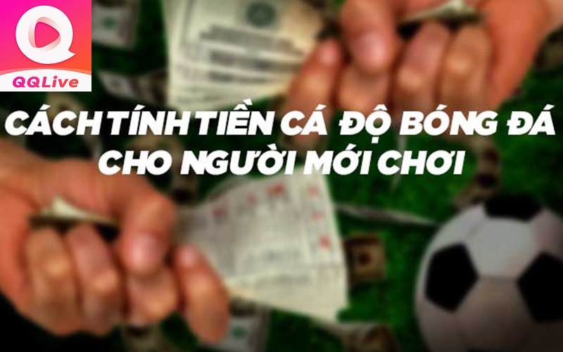 QQlive Thể Thao Và Top 6 Kèo Cược Bóng Anh Em Cần Nắm Chắc Năm 2025 4 Cách tính tiền kèo bóng đá trên QQ Live thể thao
