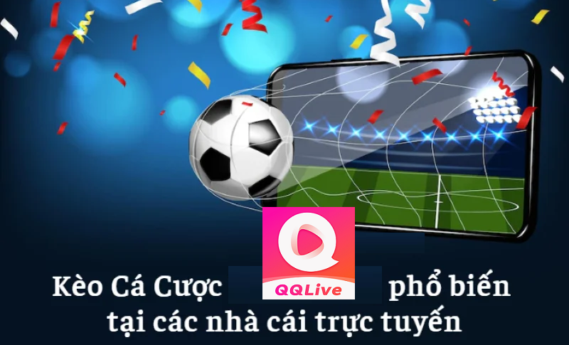 Các loại kèo cược phổ biến trên QQ Live