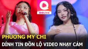 tải qqlive xem clip phương mỹ chi