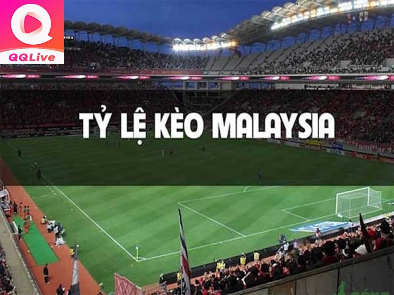 Tỷ lệ kèo Malay trên QQ Live APK