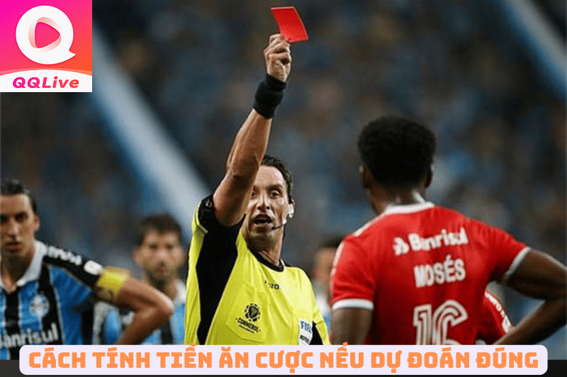 Giải Mã 3 Loại Kèo Cược Thẻ Phạt trên QQLive và Cách Dự Đoán Chuẩn Nhất 3 Cách tính tiền kèo thẻ phạt tại QQ Live