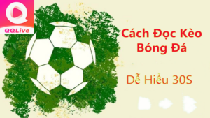 QQlive đọc kèo bóng