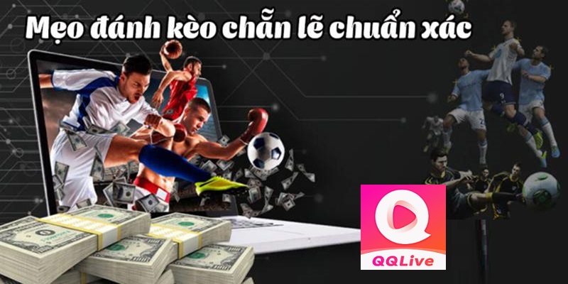 Cách bắt kèo cược chẵn lẻ trên QQLive