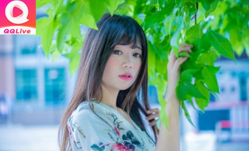 Bản Cập Nhật QQLive 1.0 Có Gì? Nền Tảng Livestream Đỉnh Cao 4 QQlive phan tich va phe phan ban cap nhat qqlive 1.0