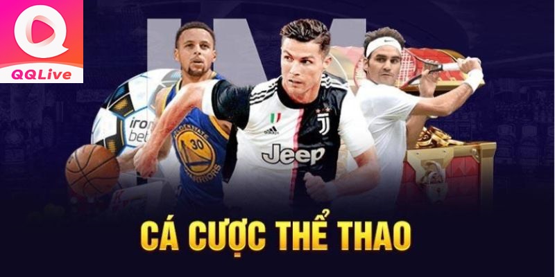 Các loại kèo cược hấp dẫn tại sảnh game thể thao QQLive