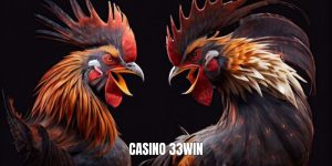Đá gà 33win