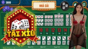 Tài xỉu nhà cái